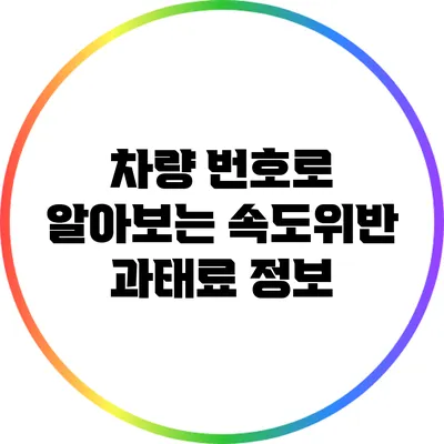 차량 번호로 알아보는 속도위반 과태료 정보
