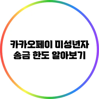 카카오페이 미성년자 송금 한도 알아보기