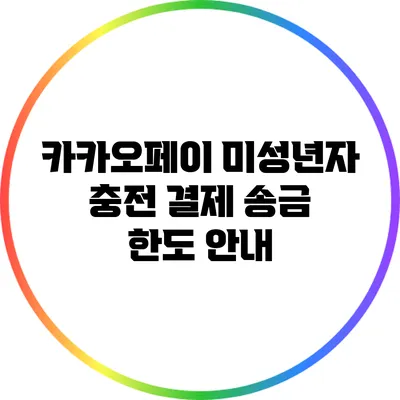 카카오페이 미성년자 충전 결제 송금 한도 안내