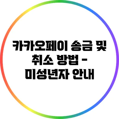 카카오페이 송금 및 취소 방법 - 미성년자 안내