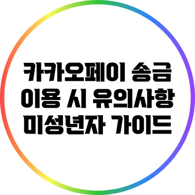 카카오페이 송금 이용 시 유의사항: 미성년자 가이드