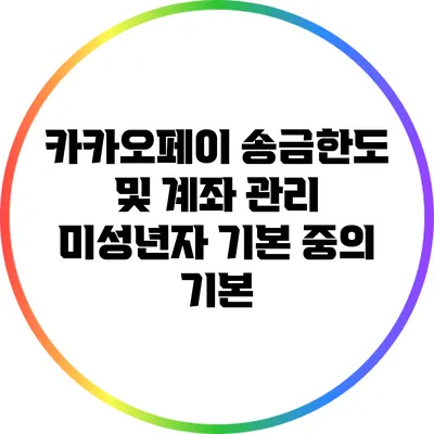 카카오페이 송금한도 및 계좌 관리: 미성년자 기본 중의 기본