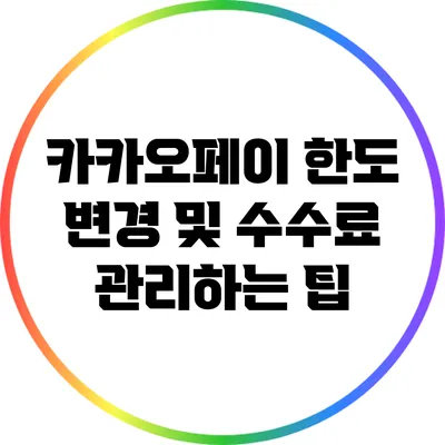 카카오페이 한도 변경 및 수수료 관리하는 팁