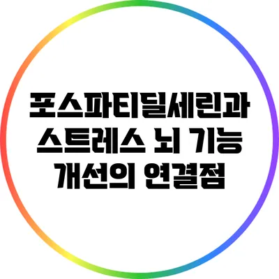 포스파티딜세린과 스트레스: 뇌 기능 개선의 연결점
