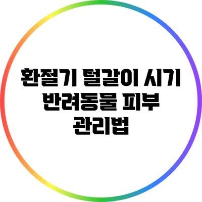 환절기 털갈이 시기 반려동물 피부 관리법