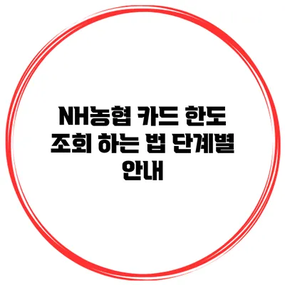 NH농협 카드 한도 조회 하는 법: 단계별 안내