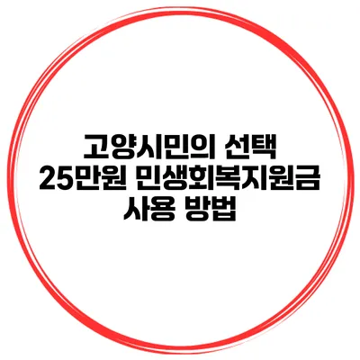 고양시민의 선택 25만원 민생회복지원금 사용 방법