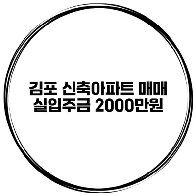 김포 신축아파트 매매 실입주금 2000만원