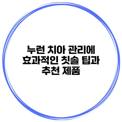 누런 치아 관리에 효과적인 칫솔 팁과 추천 제품