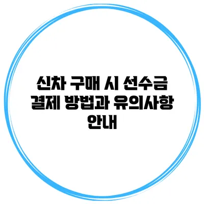 신차 구매 시 선수금 결제 방법과 유의사항 안내