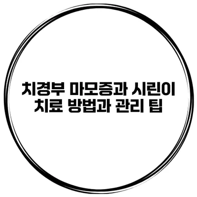 치경부 마모증과 시린이 치료 방법과 관리 팁