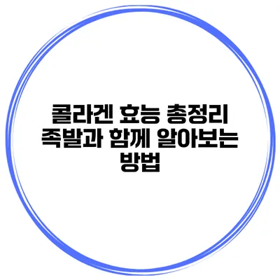콜라겐 효능 총정리 족발과 함께 알아보는 방법