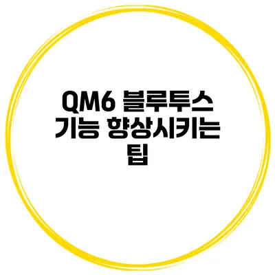 QM6 블루투스 기능 향상시키는 팁