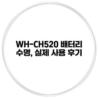 WH-CH520 배터리 수명, 실제 사용 후기