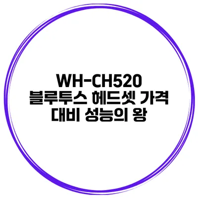 WH-CH520 블루투스 헤드셋 가격 대비 성능의 왕