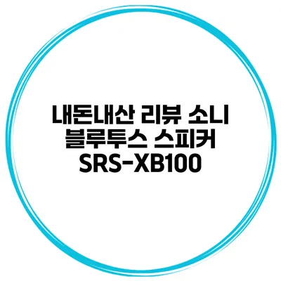 내돈내산 리뷰 소니 블루투스 스피커 SRS-XB100