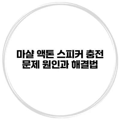 마샬 액톤 스피커 충전 문제 원인과 해결법