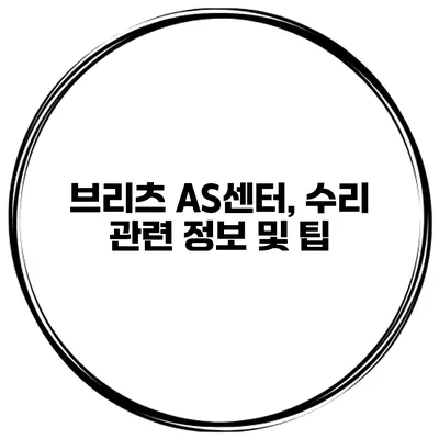 브리츠 AS센터, 수리 관련 정보 및 팁