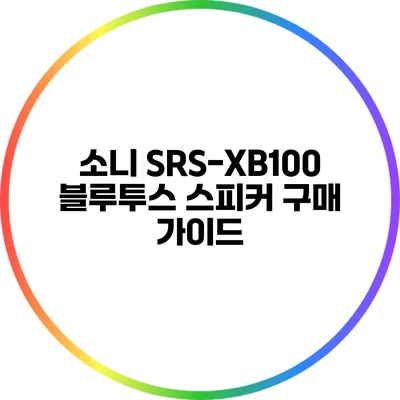 소니 SRS-XB100 블루투스 스피커 구매 가이드
