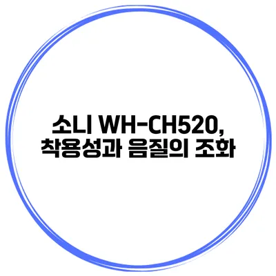 소니 WH-CH520, 착용성과 음질의 조화