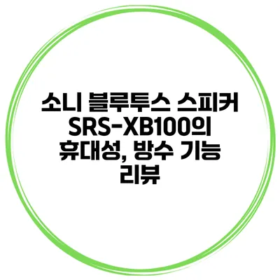소니 블루투스 스피커 SRS-XB100의 휴대성, 방수 기능 리뷰