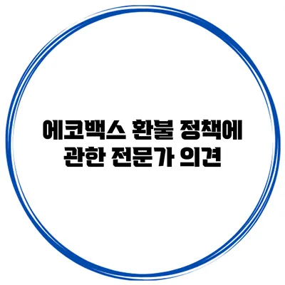 에코백스 환불 정책에 관한 전문가 의견