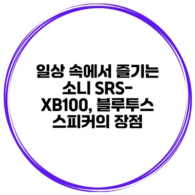 일상 속에서 즐기는 소니 SRS-XB100, 블루투스 스피커의 장점