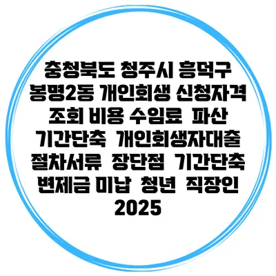 충청북도 청주시 흥덕구 봉명2동 개인회생 신청자격 조회 비용 수임료 | 파산 | 기간단축 | 개인회생자대출 | 절차서류 | 장단점 | 기간단축 | 변제금 미납 | 청년 | 직장인 2025