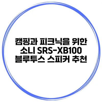 캠핑과 피크닉을 위한 소니 SRS-XB100 블루투스 스피커 추천